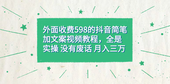 外面收费598抖音简笔加文案教程，全是实操 没有废话 月入三万（教程+资料）-117资源网