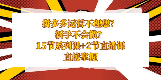 拼多多运营不理想？新手不会做？15节系列课+2节直播课，直接掌握-117资源网