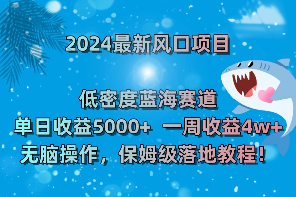 2024最新风口项目 低密度蓝海赛道，日收益5000+周收益4w+ 无脑操作-117资源网