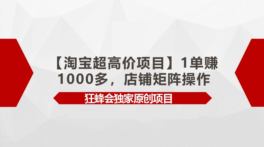 【淘宝超高价项目】1单赚1000多，店铺矩阵操作-117资源网