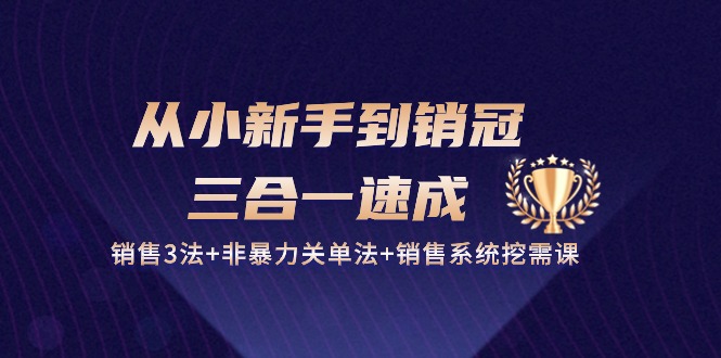 从小新手到销冠三合一速成：销售3法+非暴力关单法+销售系统挖需课 (27节)-117资源网