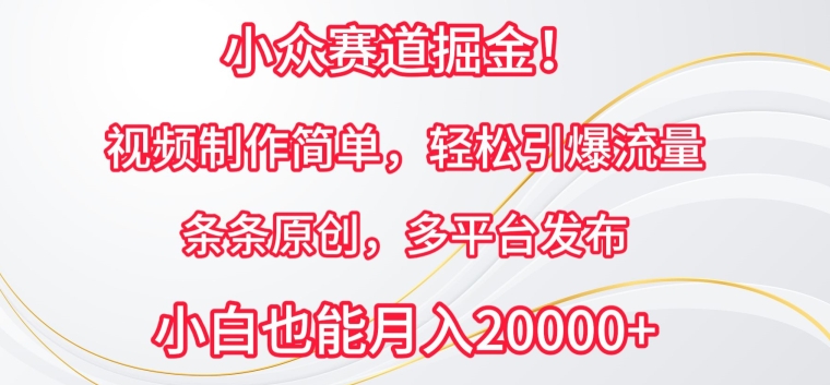 小众赛道掘金，视频制作简单，轻松引爆流量，条条原创，多平台发布-117资源网