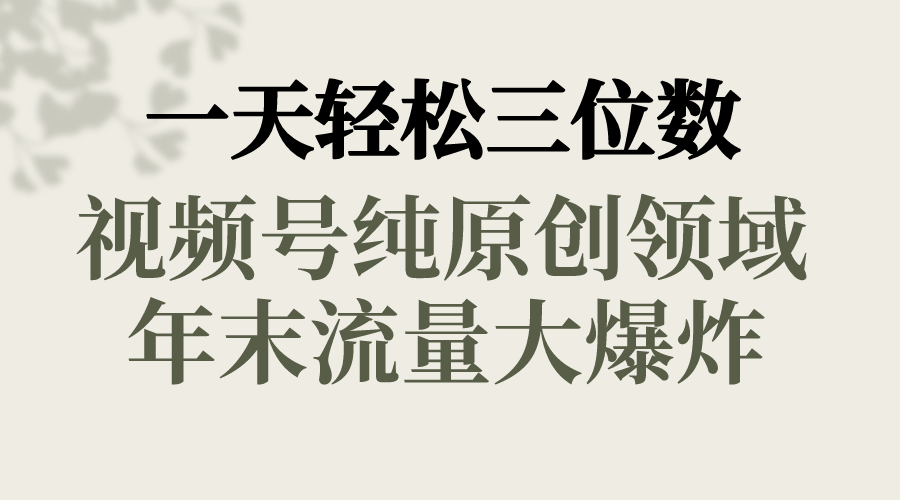 一天轻松三位数，视频号纯原创领域，春节童子送祝福，年末流量大爆炸，-117资源网