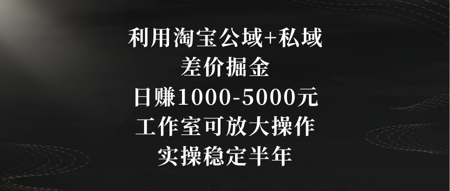 利用淘宝公域+私域差价掘金，日赚1000-5000元，工作室可放大操作，实操…-117资源网