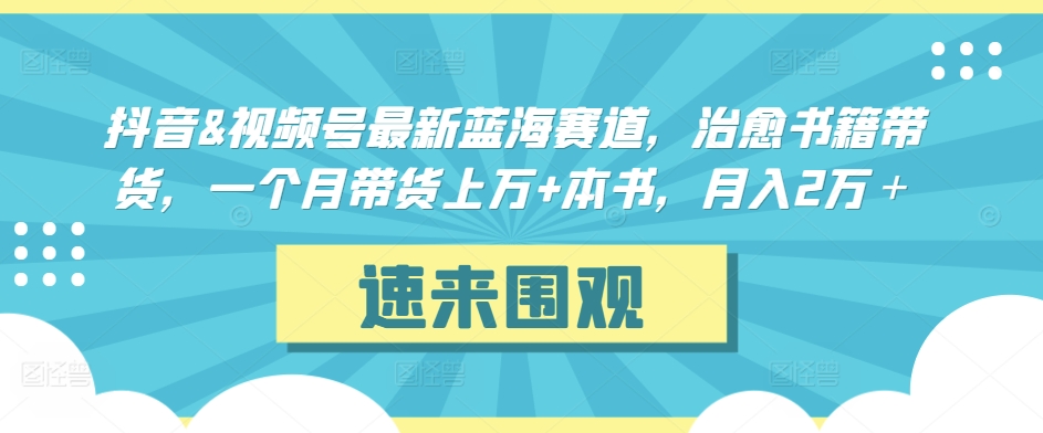 抖音&视频号最新蓝海赛道，治愈书籍带货，一个月带货上万+本书，月入2万＋-117资源网