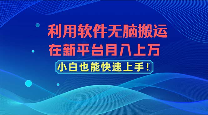 利用软件无脑搬运，在新平台月入上万，小白也能快速上手-117资源网