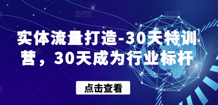 实体流量打造-30天特训营，30天成为行业标杆-117资源网