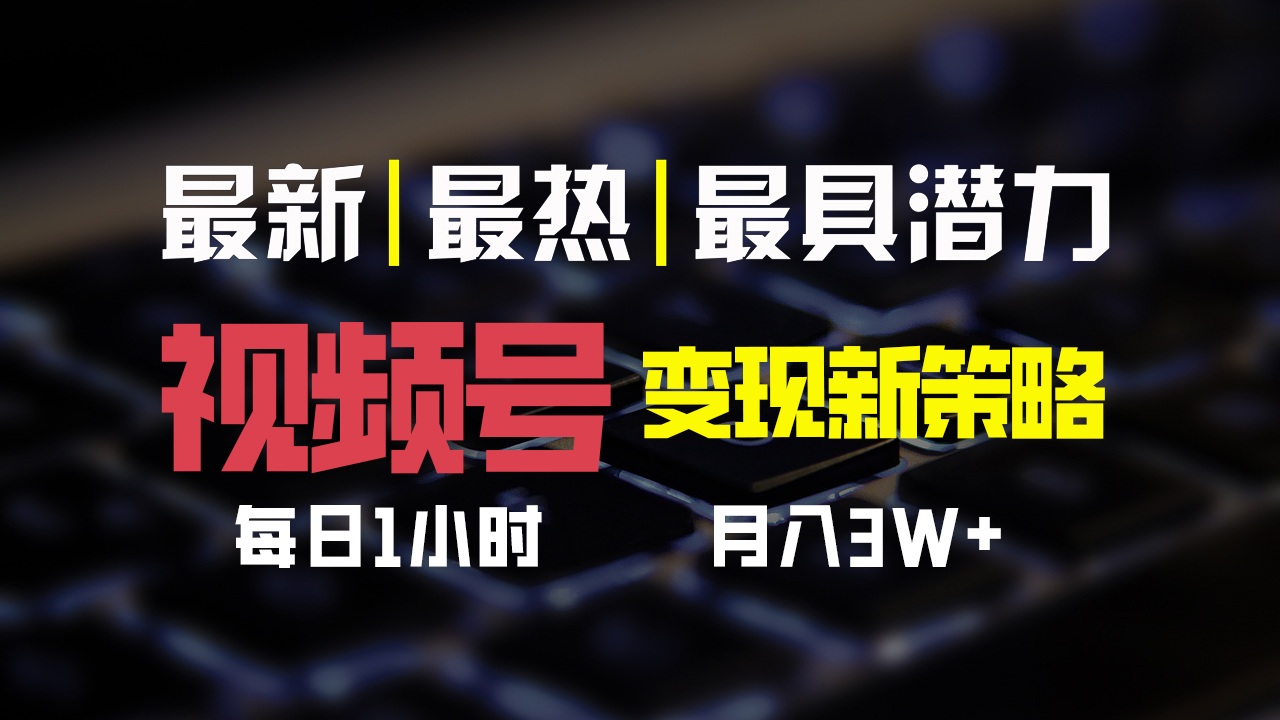 视频号变现新策略，每日一小时月入30000+-117资源网