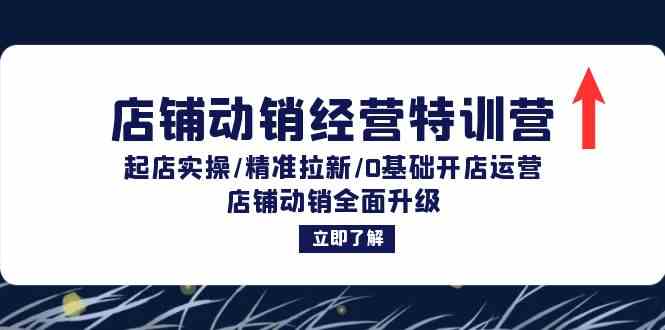 店铺动销经营特训营：起店实操/精准拉新/0基础开店运营/店铺动销全面升级-117资源网