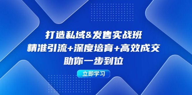 打造私域&发售实操班：精准引流+深度培育+高效成交，助你一步到位-117资源网