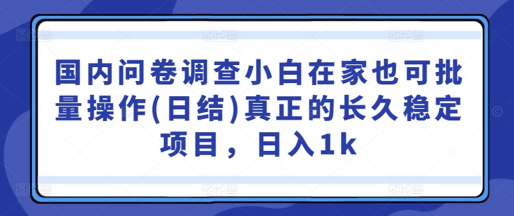 国内问卷调查小白在家也可批量操作(日结)真正的长久稳定项目，日入1k【揭秘】-117资源网