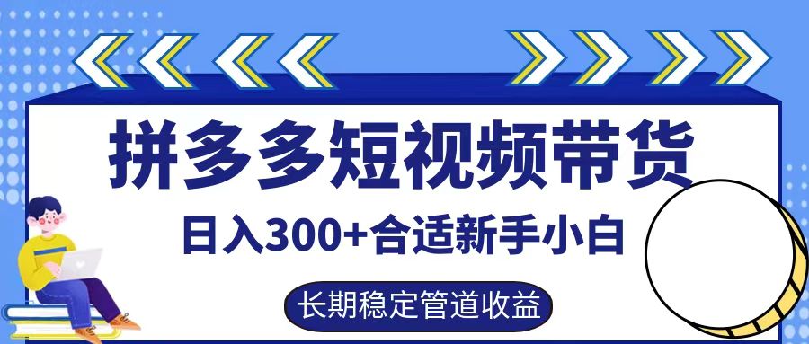 拼多多短视频带货日入300+，实操账户展示看就能学会-117资源网