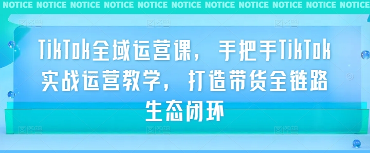 TikTok全域运营课，手把手TikTok实战运营教学，打造带货全链路生态闭环-117资源网