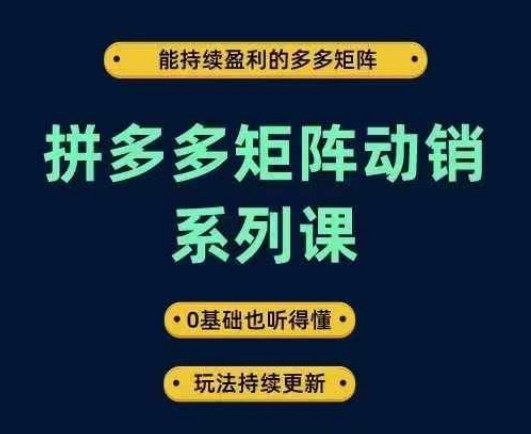 拼多多矩阵动销系列课，能持续盈利的多多矩阵，0基础也听得懂，玩法持续更新-117资源网