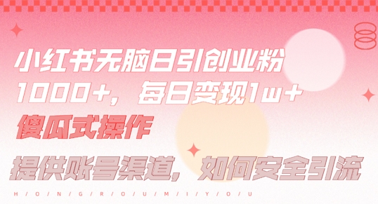 小红书无脑每日引流创业粉500+，小白每天只花半小时，躺赚长尾收益【揭秘】-117资源网