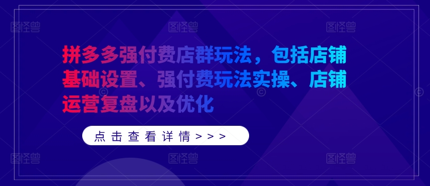 拼多多强付费店群玩法，包括店铺基础设置、强付费玩法实操、店铺运营复盘以及优化-117资源网