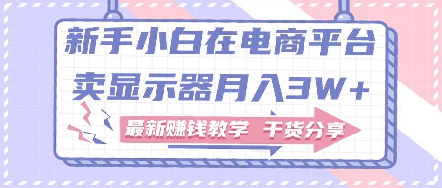 新手小白如何做到在电商平台卖显示器月入3W，最新赚钱教学干货-117资源网