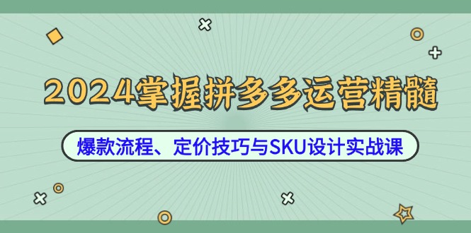 2024掌握拼多多运营精髓：爆款流程、定价技巧与SKU设计实战课-117资源网