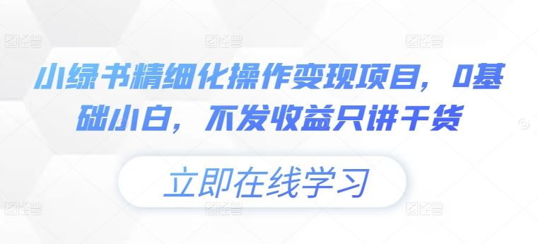 小绿书精细化操作变现项目，0基础小白，不发收益只讲干货-117资源网