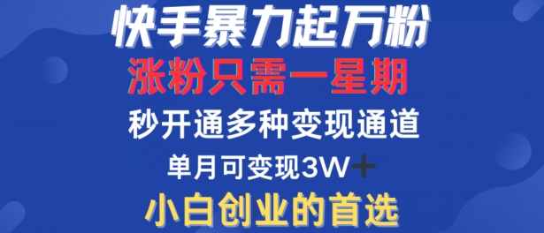 快手暴力起万粉，涨粉只需一星期，多种变现模式，直接秒开万合，单月变现过W【揭秘】-117资源网