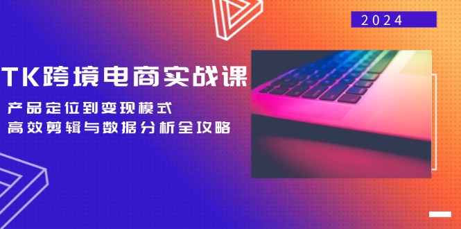 TK跨境电商实战课：产品定位到变现模式，高效剪辑与数据分析全攻略-117资源网