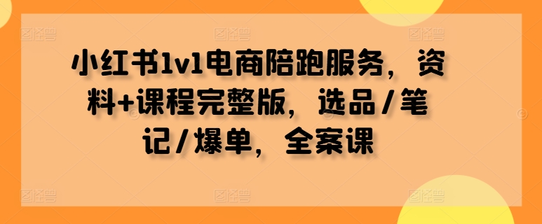 小红书1v1电商陪跑服务，资料+课程完整版，选品/笔记/爆单，全案课-117资源网