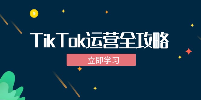 TikTok实战运营全攻略：从下载软件到变现，抖音海外版实操教程-117资源网