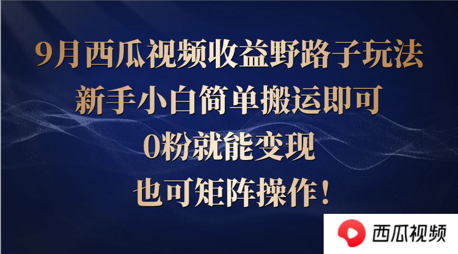 西瓜视频收益野路子玩法，新手小白简单搬运即可，0粉就能变现，也可矩…-117资源网