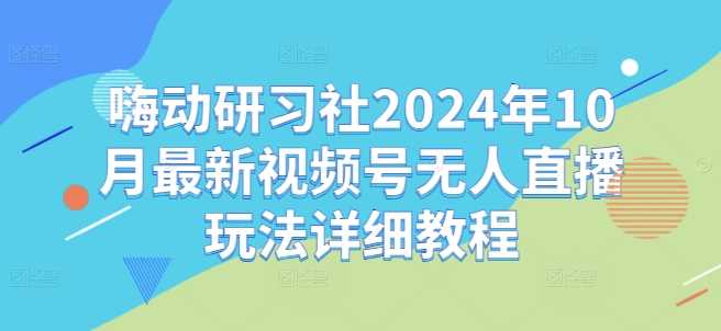 嗨动研习社2024年10月最新视频号无人直播玩法详细教程-117资源网