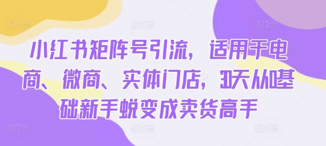 小红书矩阵号引流，适用于电商、微商、实体门店，30天从0基础新手蜕变成卖货高手-117资源网