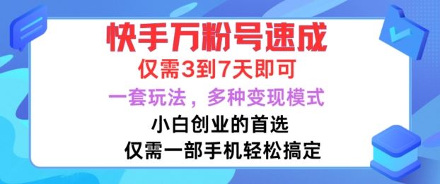 快手万粉号速成，仅需3到七天，小白创业的首选，一套玩法，多种变现模式【揭秘】-117资源网