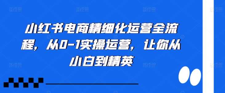 小红书电商精细化运营全流程，从0-1实操运营，让你从小白到精英-117资源网