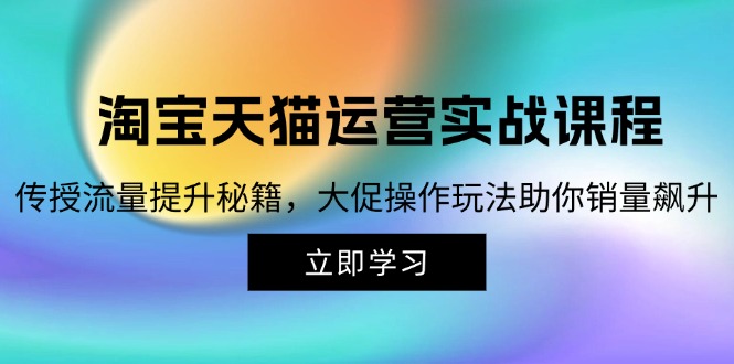 （12959期）淘宝&天猫运营实战课程，传授流量提升秘籍，大促操作玩法助你销量飙升-117资源网