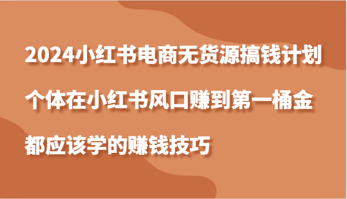 2024小红书电商无货源搞钱计划，个体在小红书风口赚到第一桶金应该学的赚钱技巧-117资源网