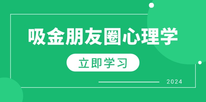 朋友圈吸金心理学：揭秘心理学原理，增加业绩，打造个人IP与行业权威-117资源网