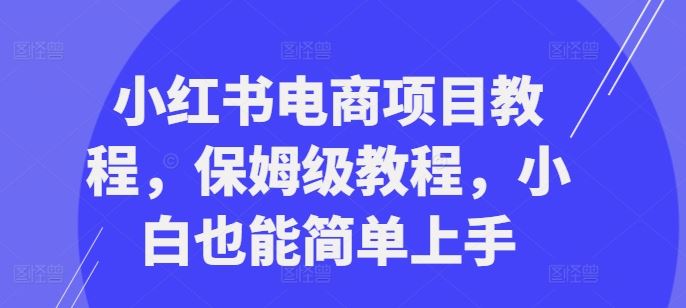 小红书电商项目教程，保姆级教程，小白也能简单上手-117资源网