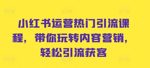 小红书运营热门引流课程，带你玩转内容营销，轻松引流获客-117资源网