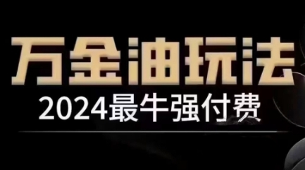 2024最牛强付费，万金油强付费玩法，干货满满，全程实操起飞-117资源网