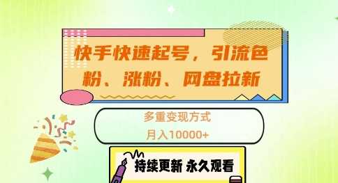 快手快速起号，引流s粉、涨粉、网盘拉新多重变现方式，月入1w【揭秘】-117资源网