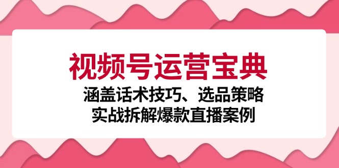 （12808期）视频号运营宝典：涵盖话术技巧、选品策略、实战拆解爆款直播案例-117资源网