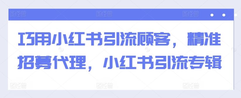 巧用小红书引流顾客，精准招募代理，小红书引流专辑-117资源网