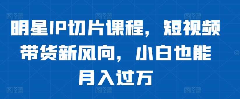 明星IP切片课程，短视频带货新风向，小白也能月入过万-117资源网