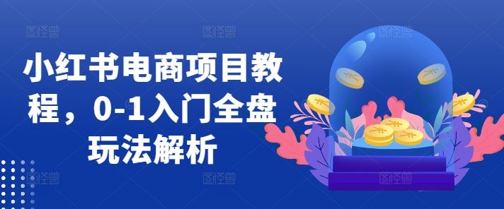 小红书电商项目教程，0-1入门全盘玩法解析-117资源网