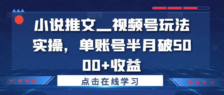 小说推文—视频号玩法实操，单账号半月破5000+收益-117资源网