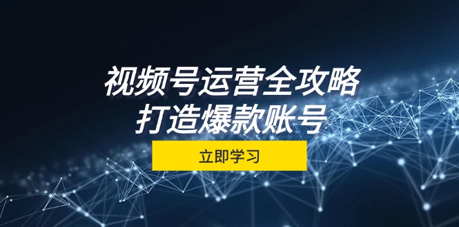 视频号运营全攻略，从定位到成交一站式学习，视频号核心秘诀，打造爆款账号-117资源网