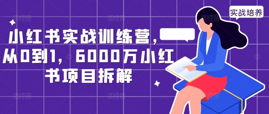 小红书实战训练营，从0到1，6000万小红书项目拆解-117资源网