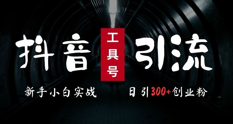 2024最新抖音工具号引流玩法，高效日引300+创业粉，当天变现5k，小白也可成为实战高手-117资源网