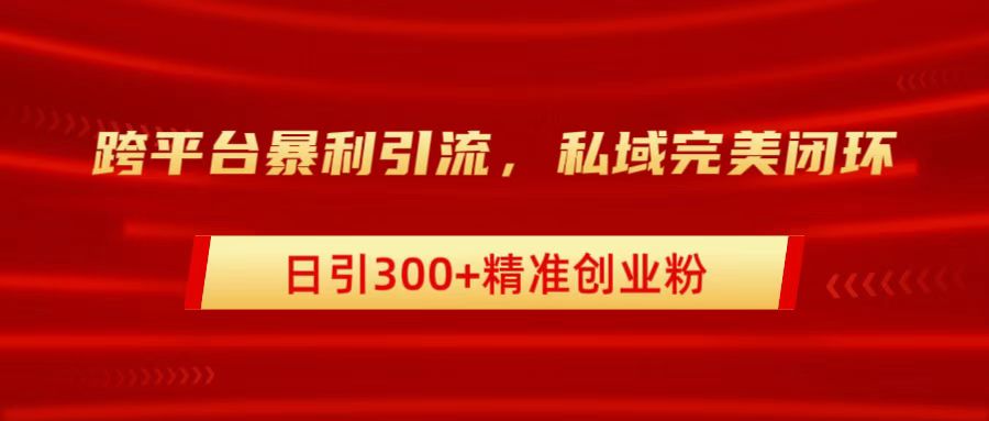 跨平台暴力引流，私域完美闭环，日引300+精准创业粉-117资源网