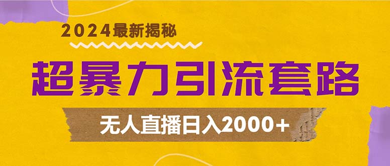 （12800期）超暴力引流套路，无人直播日入2000+-117资源网