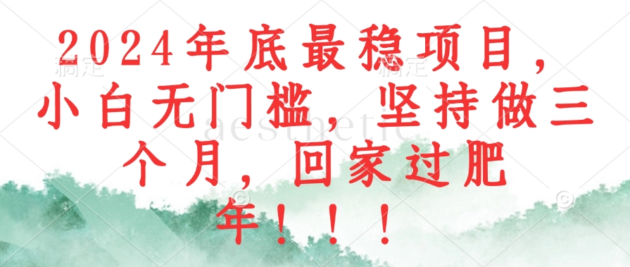 （12970期）2024年底最稳项目，小白无门槛，坚持做三个月，回家过肥年！！！-117资源网